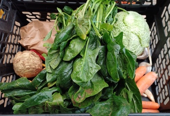 Čtvrteční bedýnky 16.10.2025