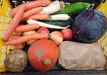 Čtvrteční bedýnky 23.10.2025