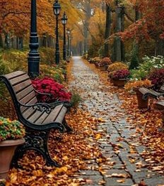 Bedýnky na čtvrtek 30.10.2025