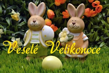 🐣🐥🐇🐑🎋