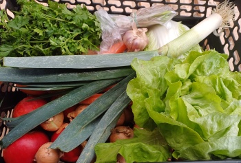 Čtvrteční bedýnky 30.10.2025