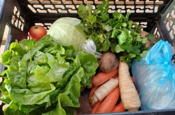 Čtvrteční bedýnky 06.11.2025