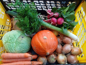 Čtvrteční bedýnky 13.11.2025