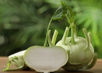 Bedýnky na čtvrtek 04.12.2025