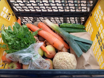 Čtvrteční bedýnky 26.03.2025