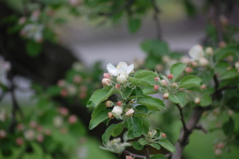 Bedýnky na čtvrtek 30.05.2026